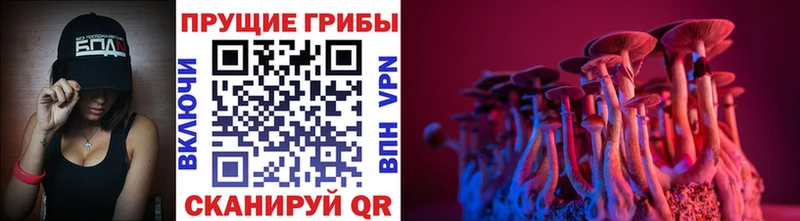Галлюциногенные грибы Psilocybe  Купить закладки  Карталы 